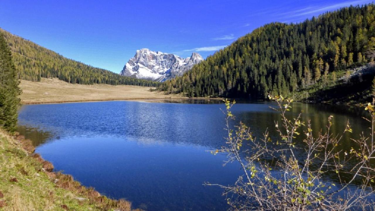 Appartamento Vanoi Nel Cuore Verde Del Trentino Canal San Bovo Exterior foto