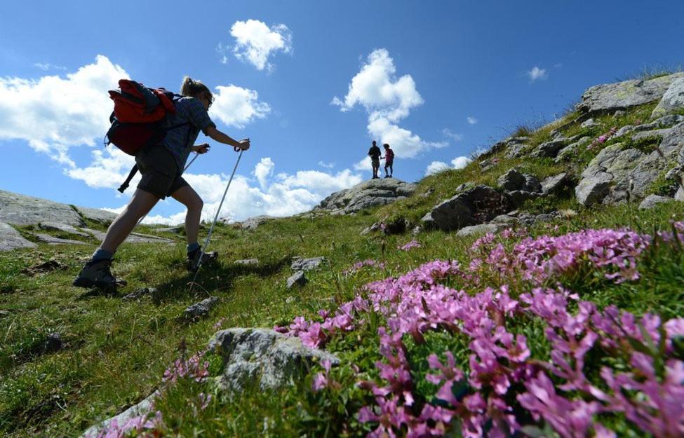 Appartamento Vanoi Nel Cuore Verde Del Trentino Canal San Bovo Exterior foto